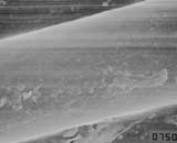 ヘアスタイルアーツ美容室の毛髪診断